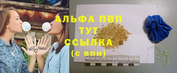 индика Новодвинск