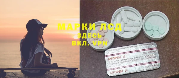 индика Новодвинск