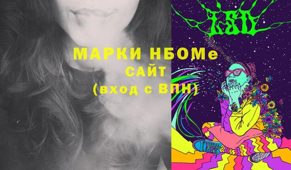 СК Новозыбков