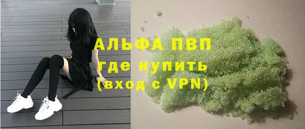 СК Новозыбков