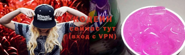 индика Новодвинск