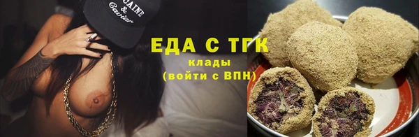 индика Новодвинск