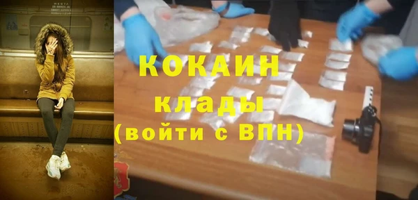 индика Новодвинск