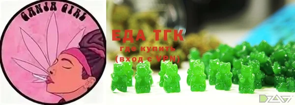 СК Новозыбков