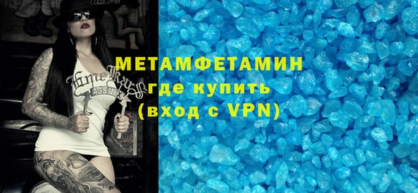 индика Новодвинск