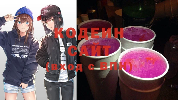 индика Новодвинск