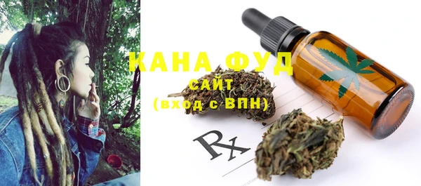 индика Новодвинск