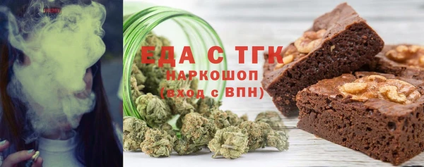 СК Новозыбков
