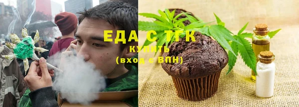 индика Новодвинск