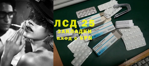 индика Новодвинск