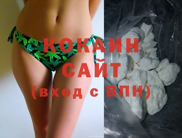индика Новодвинск