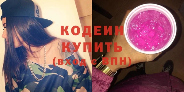 индика Новодвинск