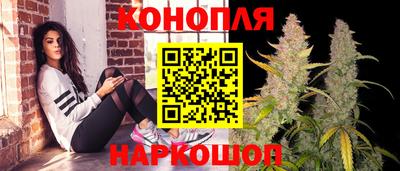 прущие крисы Малгобек