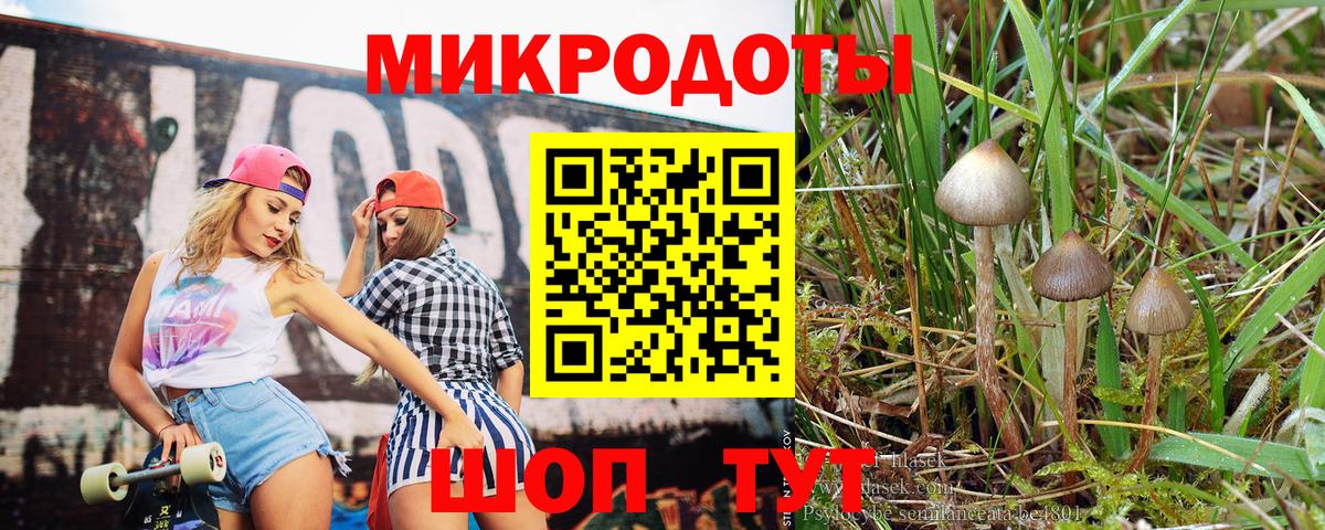 Галлюциногенные грибы GOLDEN TEACHER  Вход с VPN  Химки 