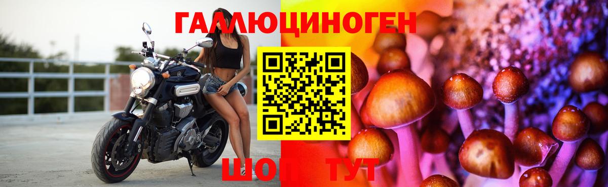 Галлюциногенные грибы MAGIC MUSHROOMS Химки