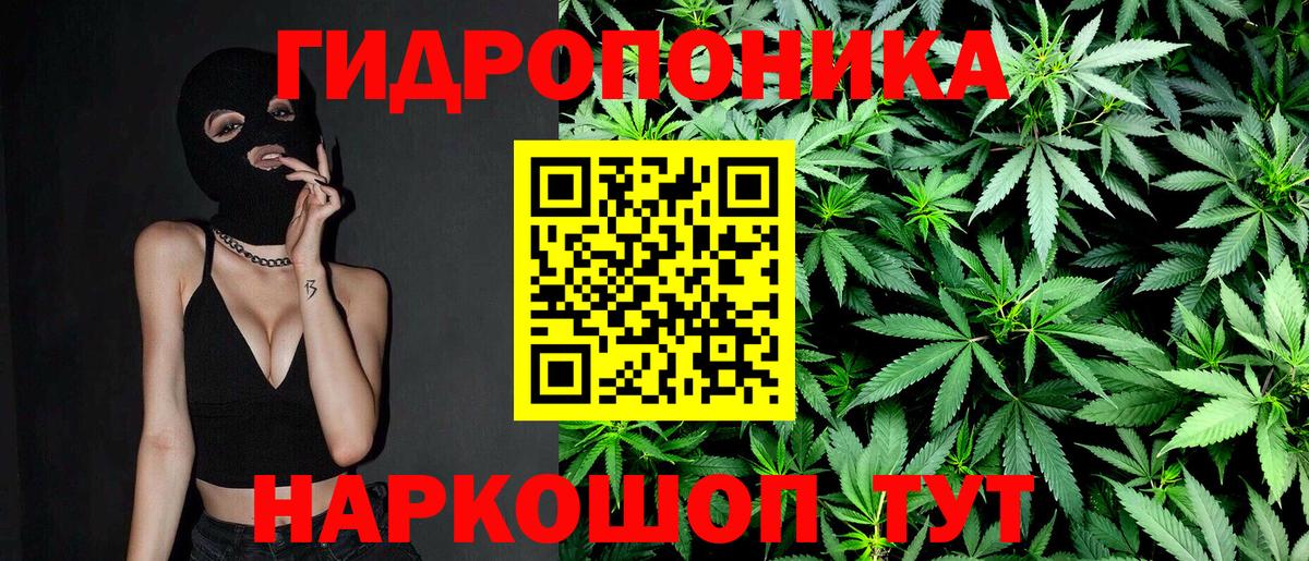 Шишки марихуана гибрид Химки